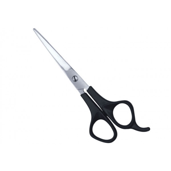 Plastic Handle Scissors